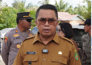 Wakil Bupati (Wabup) Mahyunadi/ist