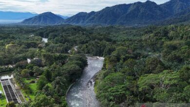 Berita Ekonomi - Antaranews