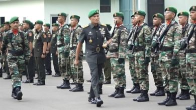 Kekayaan Widi Prasetijono