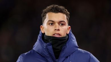 Brennan Johnson transfer