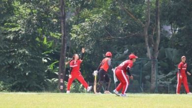 Cricket Indonesia