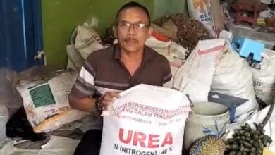 Penebusan Pupuk Bersubsidi