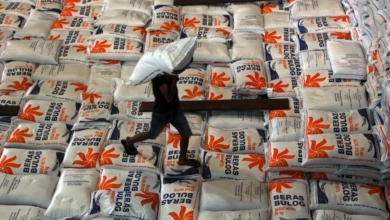 Kemandirian Pangan Nasional