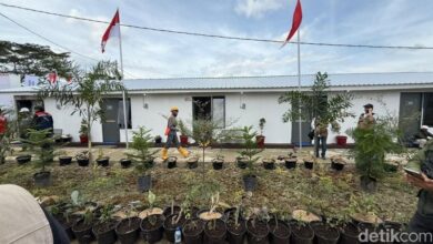 PLN Sambung Listrik Huntara