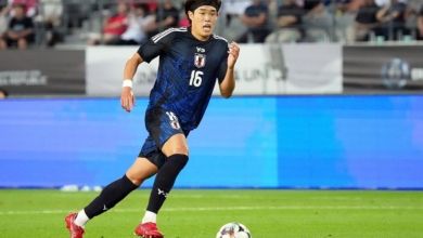 Pemain Jepang di Bundesliga