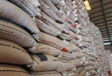 Ilustrasi Foto Bahan Pokok Makanan seperti beras dan bawang merah serta bawang putih.