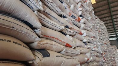 Ilustrasi Foto Bahan Pokok Makanan seperti beras dan bawang merah serta bawang putih.