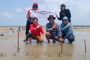 Padang Lamun Kaltim - Ekosistem padang lamun di pesisir Kalimantan Timur yang menjadi salah satu pilar utama dalam pengembangan ekonomi biru berkelanjutan.