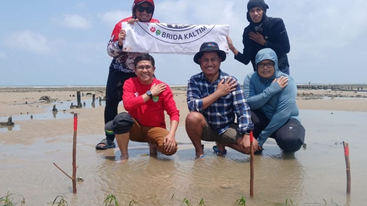 Padang Lamun Kaltim - Ekosistem padang lamun di pesisir Kalimantan Timur yang menjadi salah satu pilar utama dalam pengembangan ekonomi biru berkelanjutan.