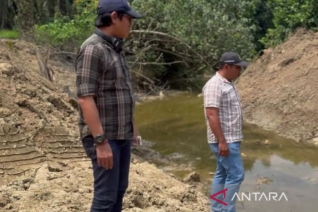 DLH Kaltim - Tim verifikasi lapangan DLH Kaltim saat melakukan peninjauan lokasi dugaan pembendungan sungai oleh perusahaan sawit PT SAI di Kutai Timur.