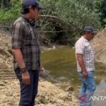 DLH Kaltim - Tim verifikasi lapangan DLH Kaltim saat melakukan peninjauan lokasi dugaan pembendungan sungai oleh perusahaan sawit PT SAI di Kutai Timur.