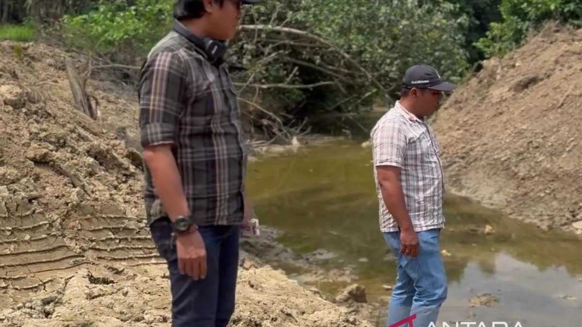 DLH Kaltim - Tim verifikasi lapangan DLH Kaltim saat melakukan peninjauan lokasi dugaan pembendungan sungai oleh perusahaan sawit PT SAI di Kutai Timur.
