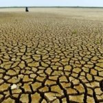 Danau Semayang Mengering - Pemandangan dasar Danau Semayang yang mulai terlihat retak akibat penyusutan air yang signifikan selama musim kemarau panjang di Kutai Kartanegara. (ANTARA FOTO/Angga Palguna)