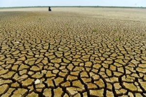 Danau Semayang Mengering - Pemandangan dasar Danau Semayang yang mulai terlihat retak akibat penyusutan air yang signifikan selama musim kemarau panjang di Kutai Kartanegara. (ANTARA FOTO/Angga Palguna)