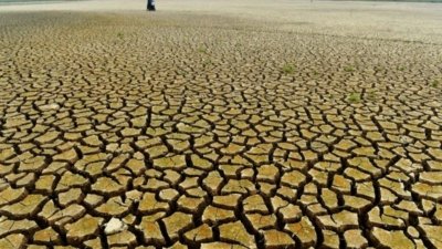 Danau Semayang Mengering - Pemandangan dasar Danau Semayang yang mulai terlihat retak akibat penyusutan air yang signifikan selama musim kemarau panjang di Kutai Kartanegara. (ANTARA FOTO/Angga Palguna)