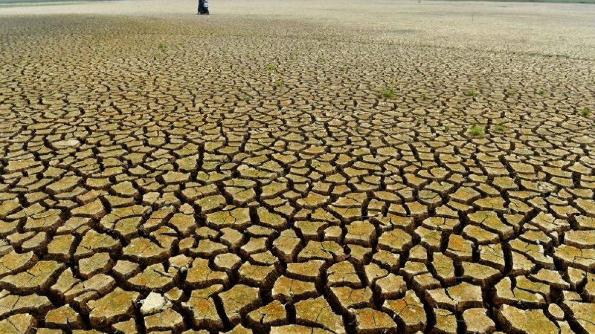 Danau Semayang Mengering - Pemandangan dasar Danau Semayang yang mulai terlihat retak akibat penyusutan air yang signifikan selama musim kemarau panjang di Kutai Kartanegara. (ANTARA FOTO/Angga Palguna)